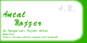 antal mojzer business card